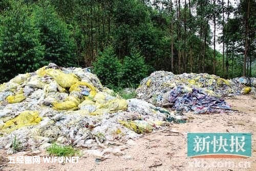 山林中随处可见一堆一堆的医疗垃圾。小图：记者在现场看到带有血迹的医疗器具。