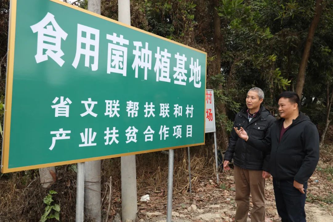 青灰石头上的彩色梦想——访广东省文联驻揭阳市五经富镇联和村驻村第一书记陈龙武 青灰石头上的彩色梦想——访广东省文联驻揭阳市五经富镇联和村驻村第一书记陈龙武